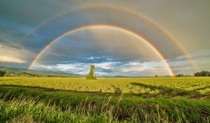 En busca del arcoíris… y la felicidad