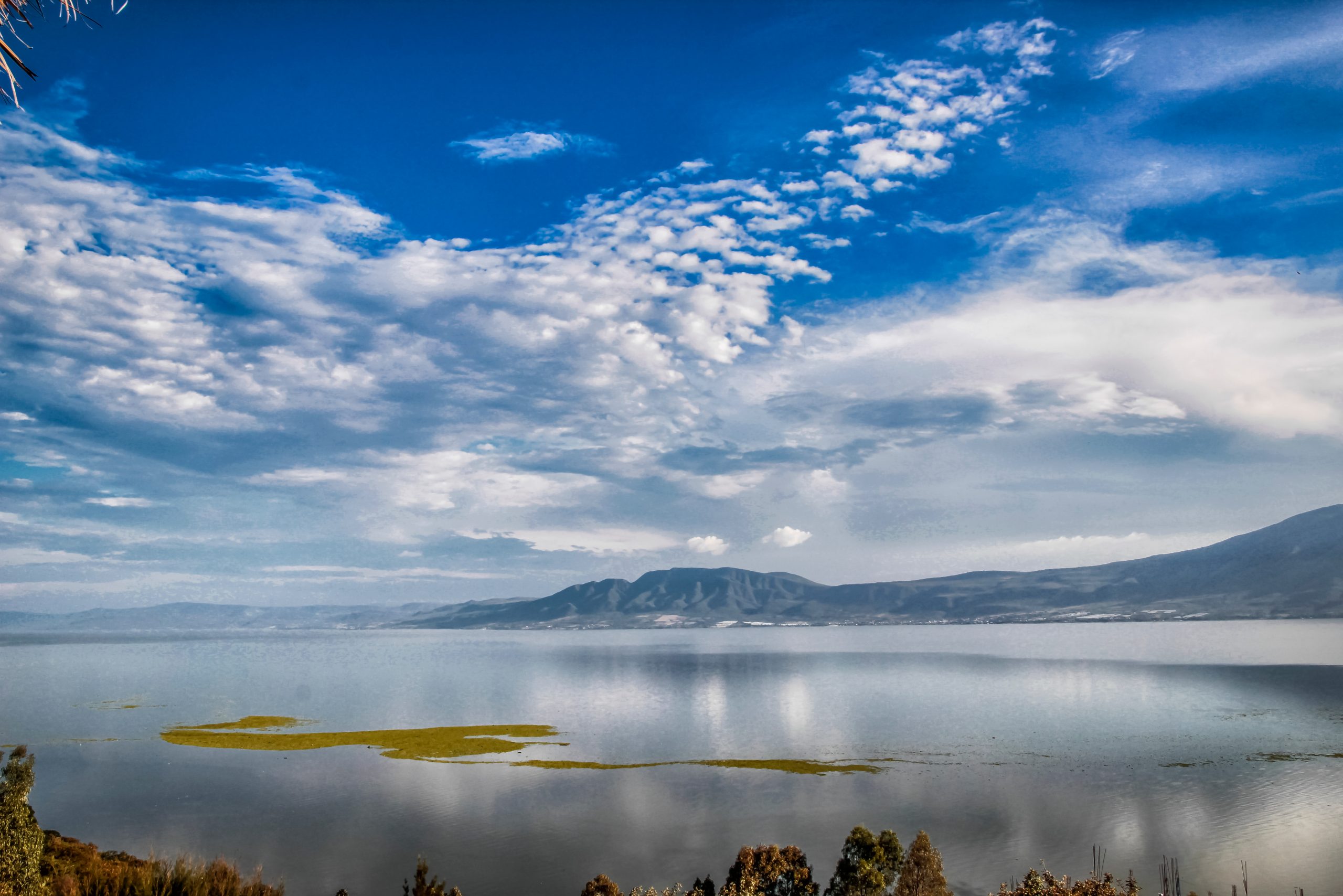 Llaman a salvar el Lago de Chapala. Por Luis Macías Nava