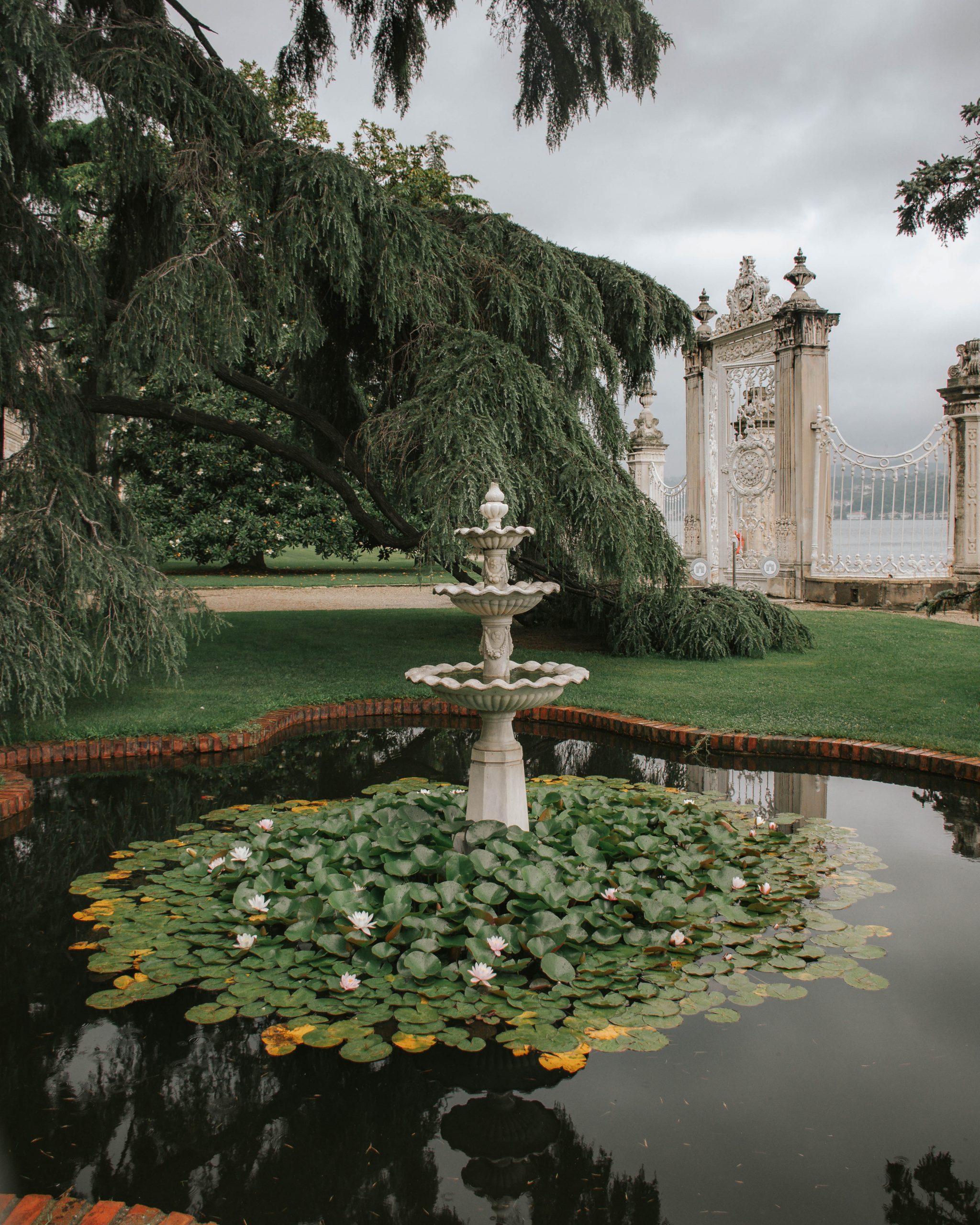 El reflejo del cadáver. Por Sofía Castro