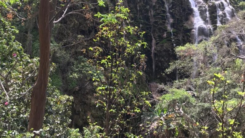 Grutas de Tolantongo